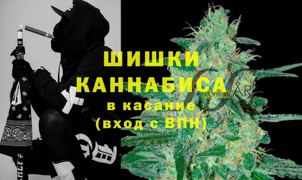 стафф Арсеньев