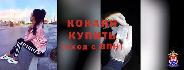 крисы Аркадак