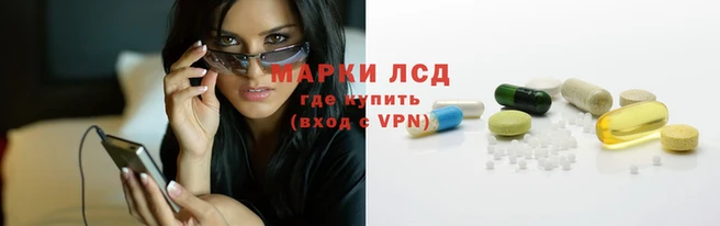 стафф Арсеньев