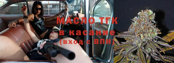 крисы Аркадак